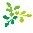 相关推荐