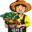 花生高产|小麦高产|玉米高产-青岛艾利法农业开发有限公司