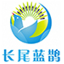 相关推荐