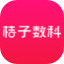 桔子数科-官网