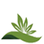 相关推荐