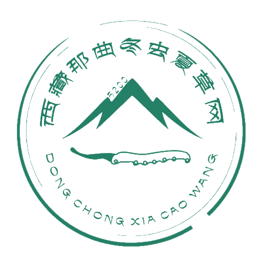 软文范文网-十年文案好帮手