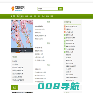 文君新寡网