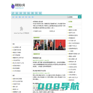 洞若观火网