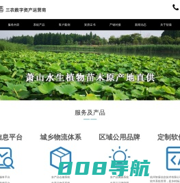 三农数字资产运营商 乡村振兴 数字乡村 未来乡村 系统开发 县域商业体系 杭州智盾信息技术有限公司官网