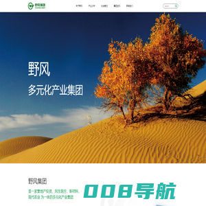 野风集团有限公司