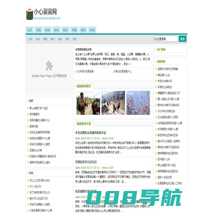 小心翼翼网