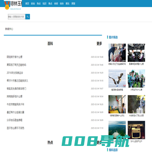 琼林玉树网