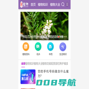 植物之家 - 多肉植物怎么养,多肉植物的养殖方法