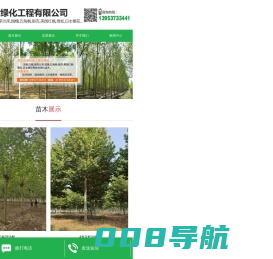 济宁美谐绿化工程有限公司_法桐_速生法桐_造型法桐_国槐_白腊_造型白腊_合欢_垂柳_栾树_南北栾树