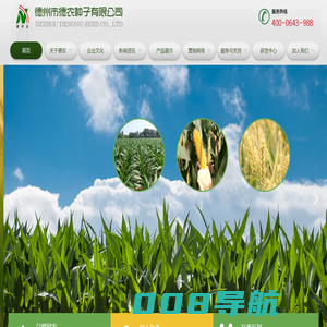 德州市德农种子有限公司 丨玉米种丨棉花种丨小麦种