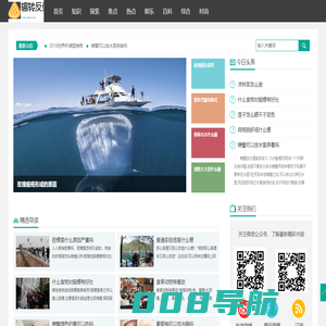 辗转反侧网