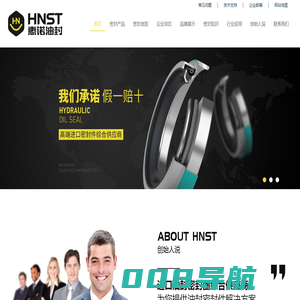 惠诺进口油封厂家 - 专注密封圈与密封件制作，27年油封品牌！