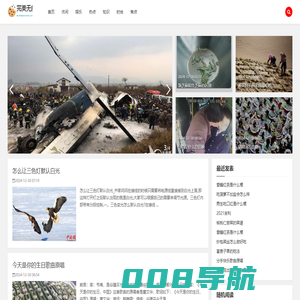 完美无疵网