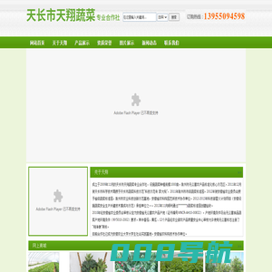 安徽天长市天翔蔬菜专业合作社
