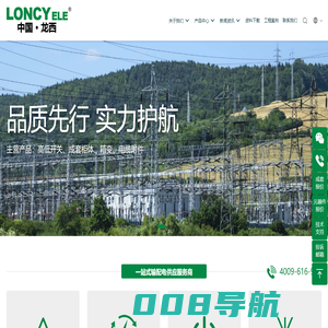 龙西电气有限公司