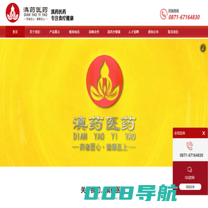 滇药医药 - 专注品质，关爱健康，传承中医健康养生之道