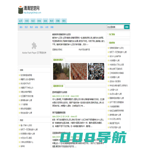 清清楚楚网