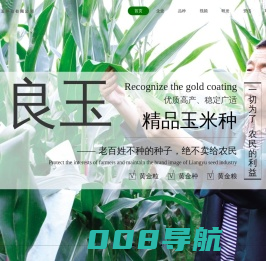 丹东良玉种业有限公司-玉米种子|良玉种业|良玉