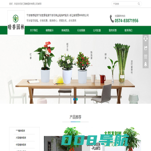 宁波绿植租赁-花卉|植物|租摆|花木|绿植-植物租赁-宁波植物租赁宁波盆景租摆宁波花草出租临时租花-浙江暗香园林有限公司