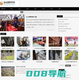 迷金醉纸网