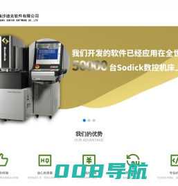上海沙迪克软件有限公司