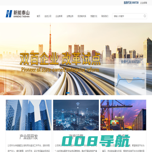 山东新能泰山发电股份有限公司