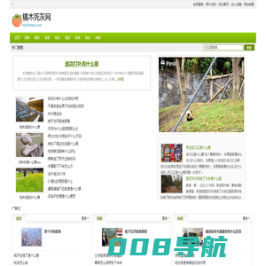 槁木死灰网