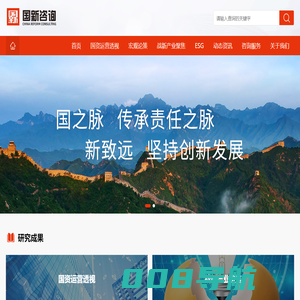 国新咨询