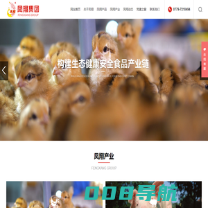 广西凤翔集团股份有限公司