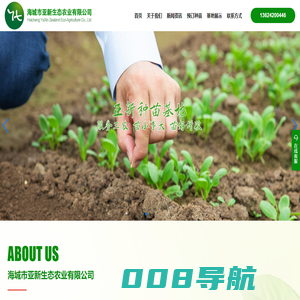 海城市亚新生态农业有限公司_奥黛丽种苗_大螺9031种苗_黄瓜种苗