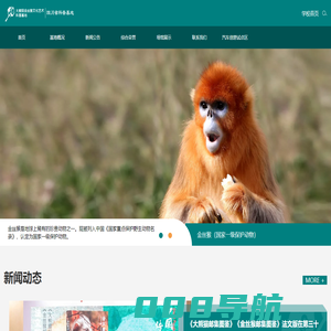 大熊猫金丝猴文化艺术科普基地-成都大学|四川省科普基地