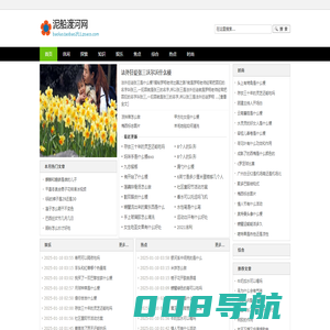泥船渡河网
