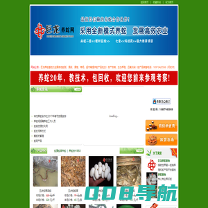 湖南养蛇基地_养蛇场_养蛇人_湖南省蛇王巨龙蛇场