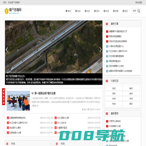 借尸还魂网