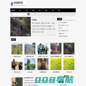 钗荆裙布网