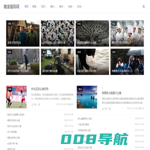 雕龙画凤网