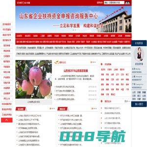 山东省企业扶持资金申请咨询服务中心-扶持资金申请-资金申请报告-专项资金申报-企业扶持资金申请