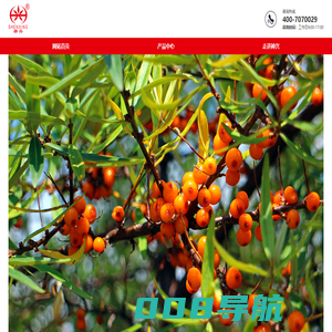 河北神兴沙棘研究院-走进神兴