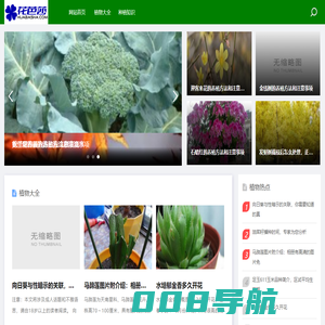 花芭莎-植物大全/办公室绿植租赁/盆栽花卉租摆