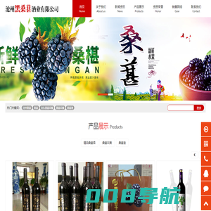 沧州桑葚-泊头桑葚采摘加盟桑葚酒 - 沧州市黑桑葚酒业有限公司