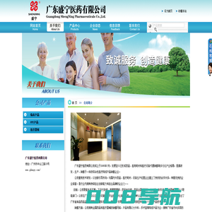 公司简介-广东盛宁医药有限公司-盛宁医药,药品,医疗器械