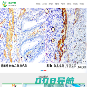 东莞市医本生物科技有限公司