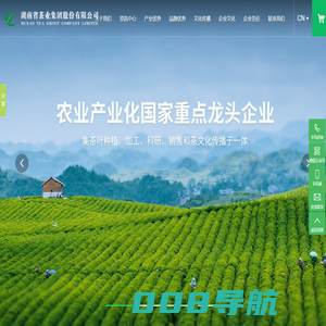 湖南省茶业集团股份有限公司_安化黑茶_千两茶_茶叶种植生_茶叶加工生产