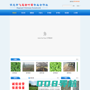 明光市飞莲甜叶菊专业合作社