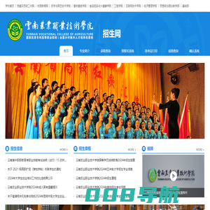 招生网