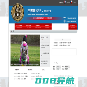 东德牧羊犬,东德牧羊犬种公,东德牧羊犬种母,东德DDR犬出售,东德DDR工作犬,嗅探犬,缉毒犬,防暴犬,护卫犬,德牧,K9工作犬,东德DDR犬,工作线德牧,工作系德牧,德国牧羊犬,北京德牧进口