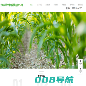 无棣波皓生物科技有限公司