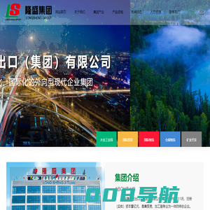 山东隆盛进出口（集团）有限公司_贸易
