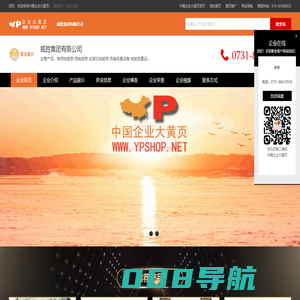 威胜集团有限公司